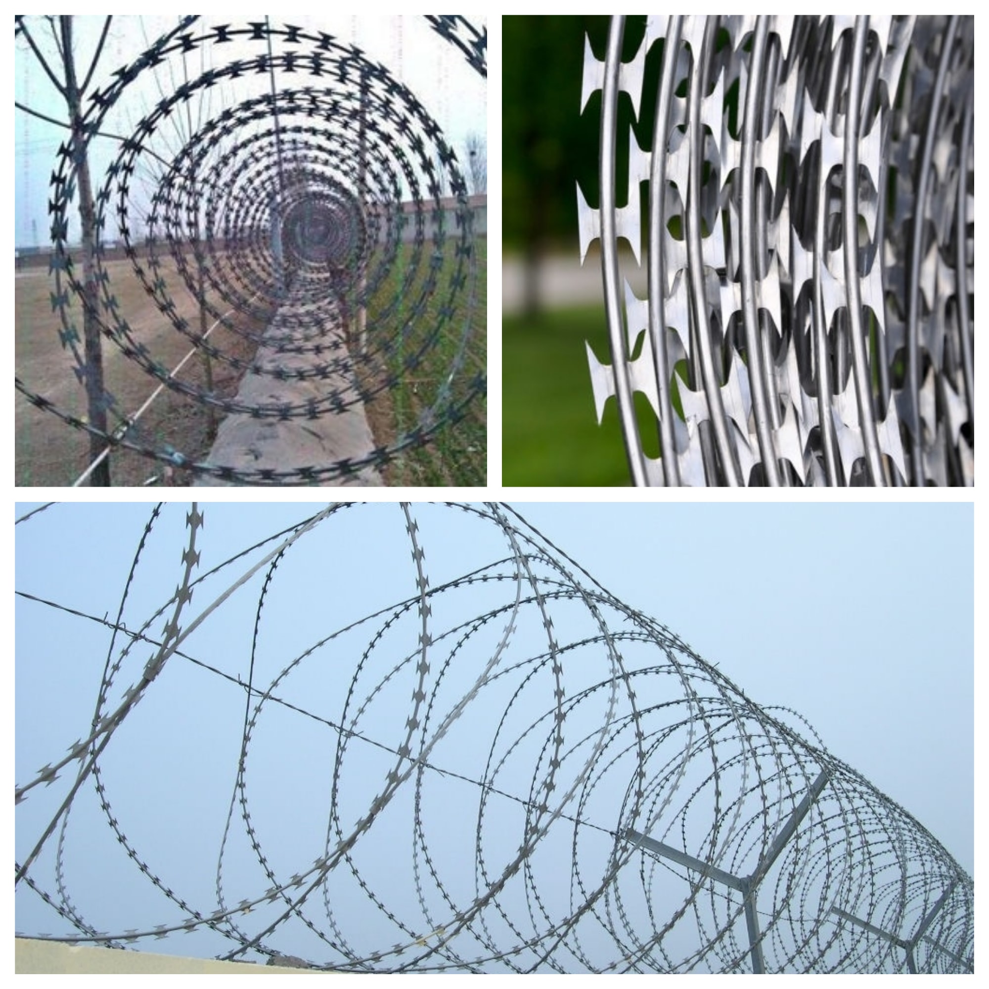 Razor Wire Collage